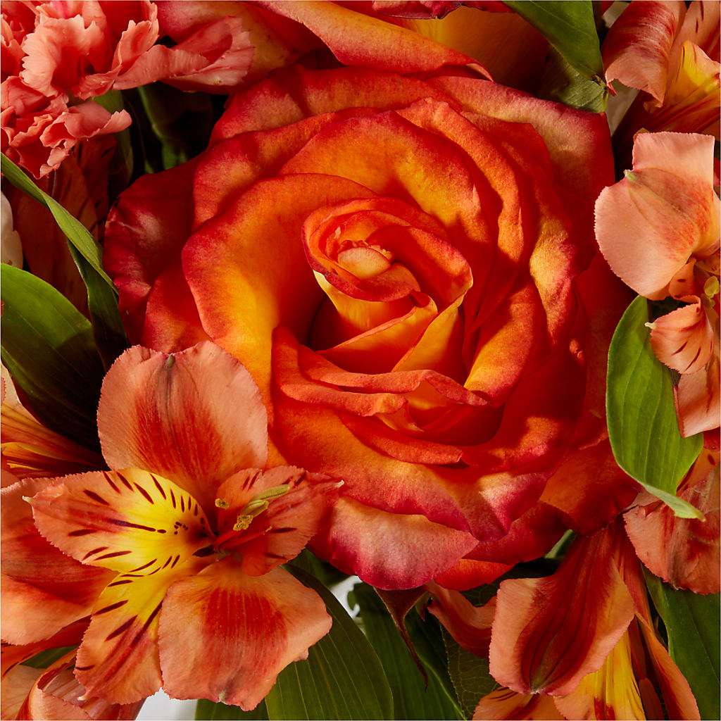 Apricot Glow Bouquet –  Gifted Delights, Bullhead City AZ