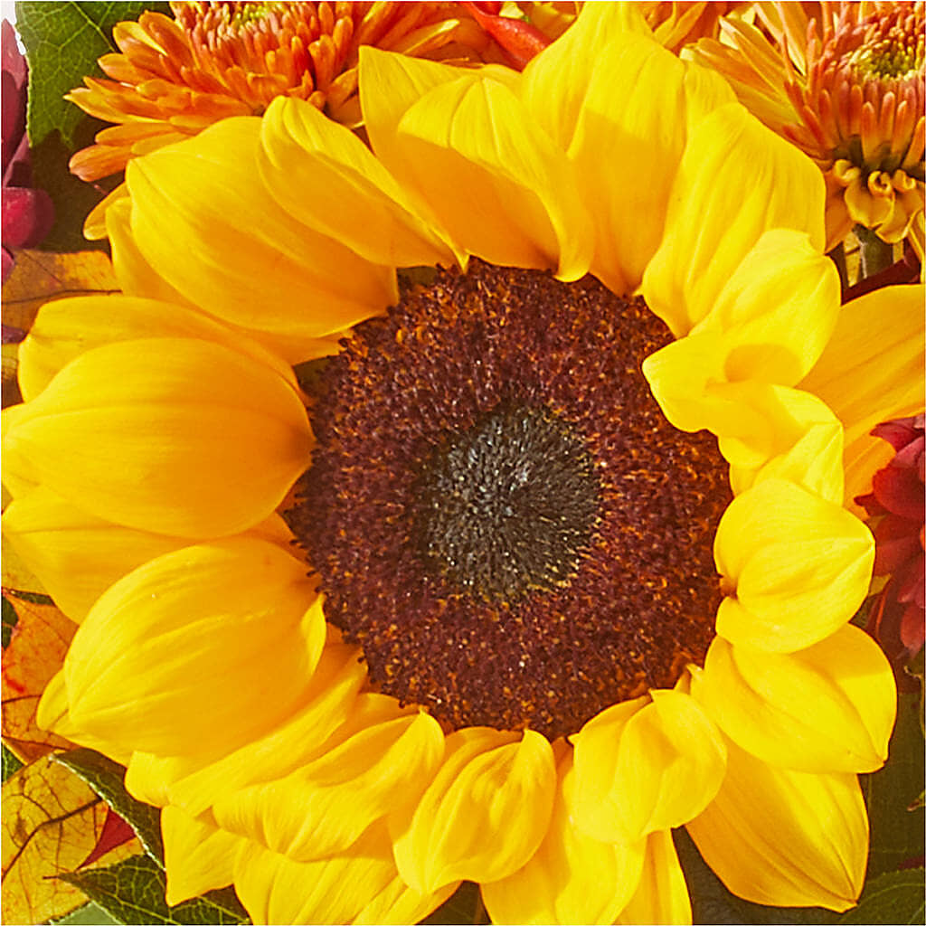 Sunny Side Bouquet –  Gifted Delights, Bullhead City AZ