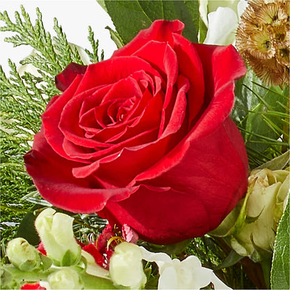 Deck the Halls Bouquet –  Gifted Delights, Bullhead City AZ