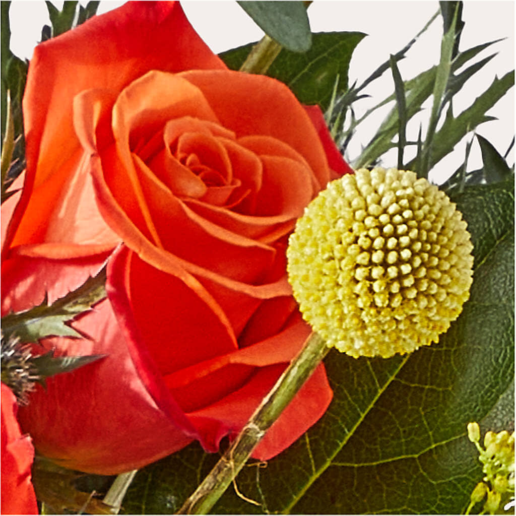Disco Bouquet –  Gifted Delights, Bullhead City AZ