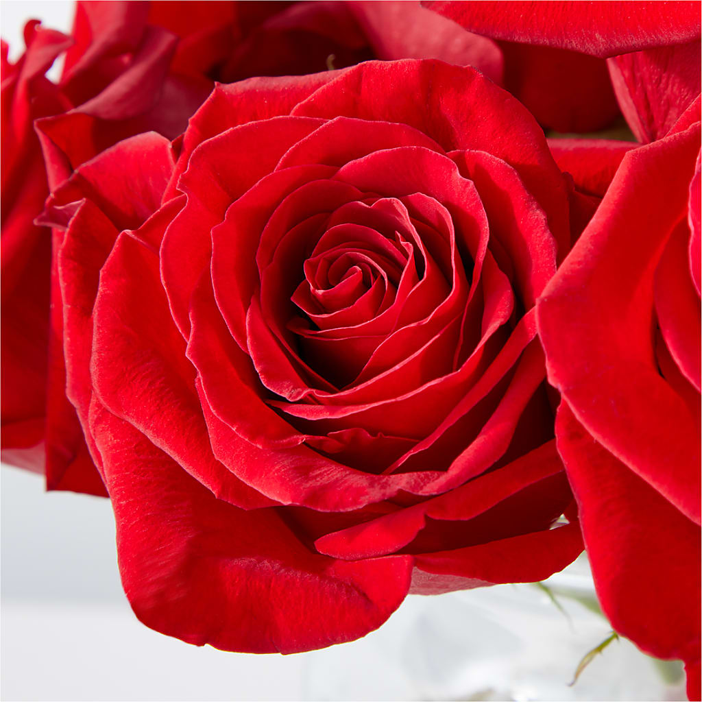 Cupid's Embrace Red Rose Bouquet –  Gifted Delights, Bullhead City AZ